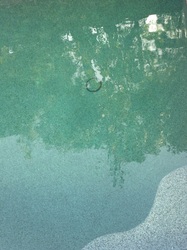 Hidden drain cover